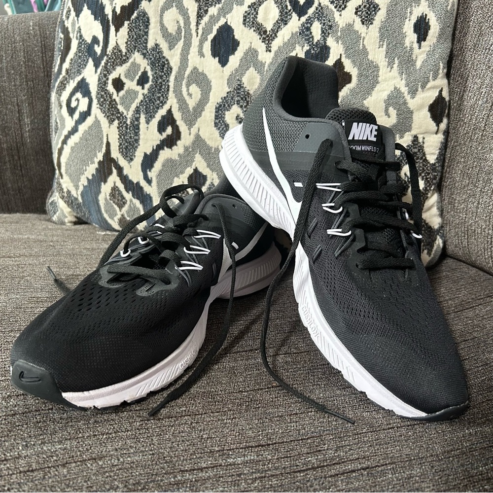 Men’s Nike Zoom Winflo 2 Shoes